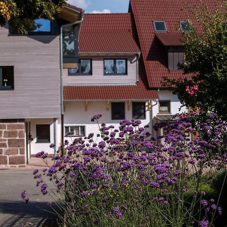 Saunaloft Schwarzwald Gemeinde Gemeinde Aichhalden Εξωτερικό φωτογραφία