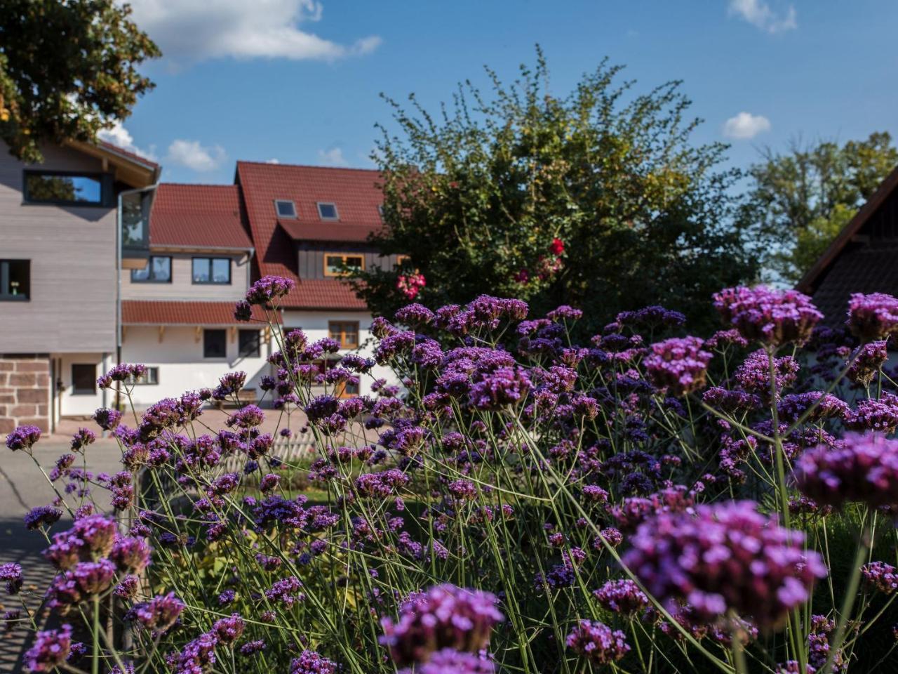 Saunaloft Schwarzwald Gemeinde Gemeinde Aichhalden Εξωτερικό φωτογραφία