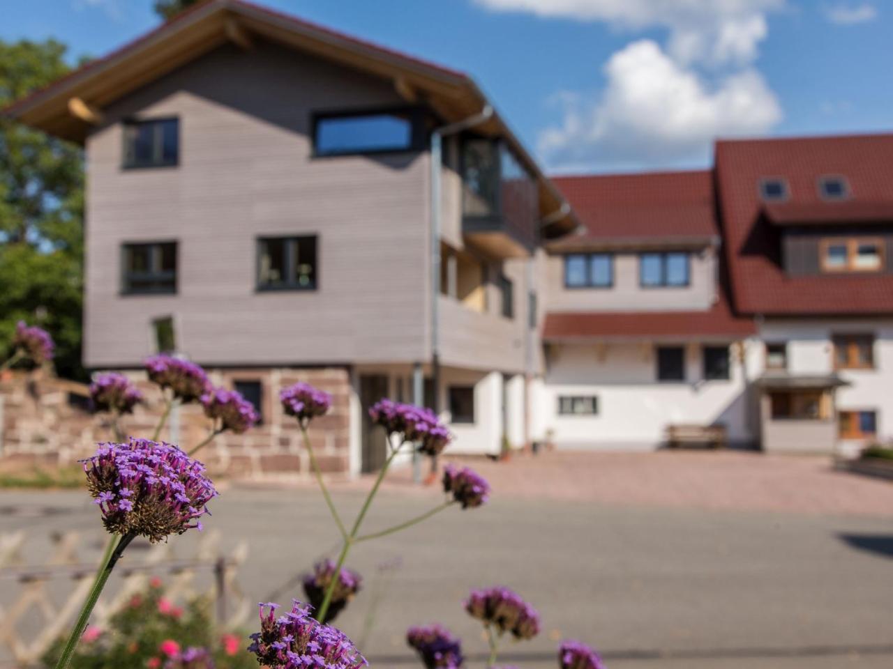 Saunaloft Schwarzwald Gemeinde Gemeinde Aichhalden Εξωτερικό φωτογραφία