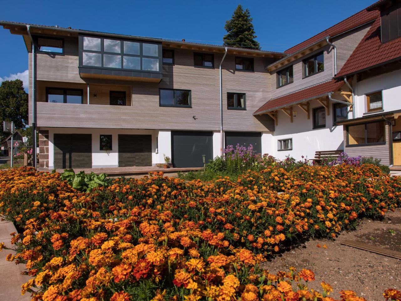Saunaloft Schwarzwald Gemeinde Gemeinde Aichhalden Εξωτερικό φωτογραφία